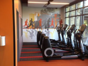 Fitness Mural crop