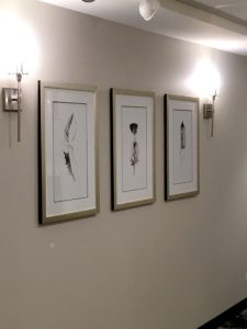 IMG_3784