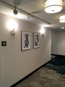 IMG_3787
